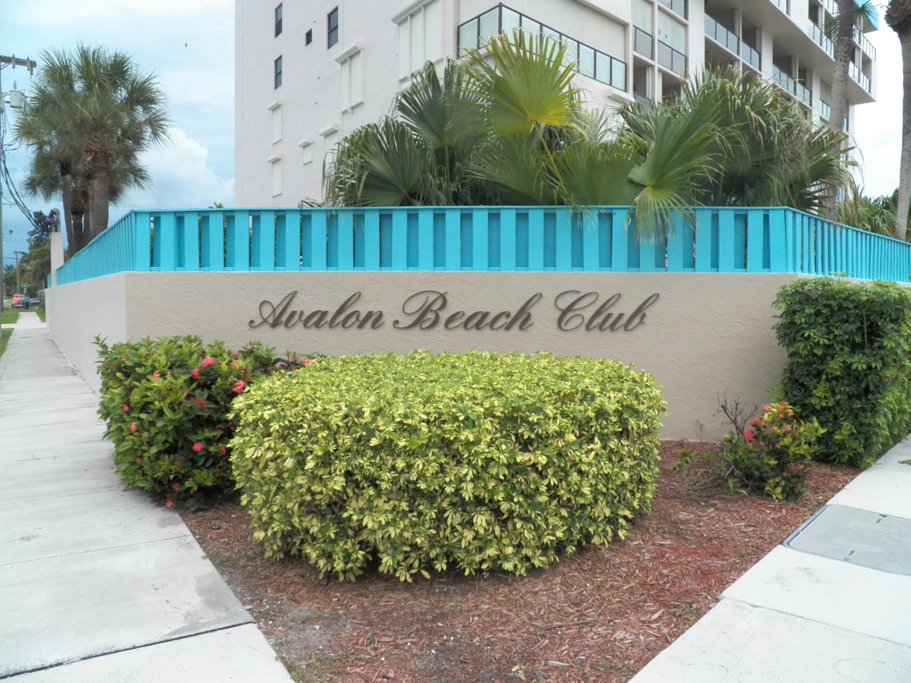 355 Ocean Drive - Photo 1
