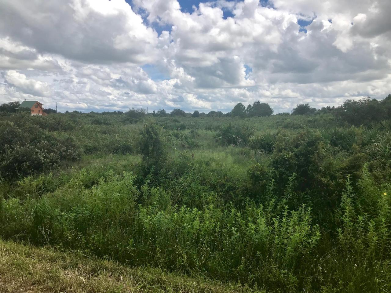 18456 288th Street - Photo 1