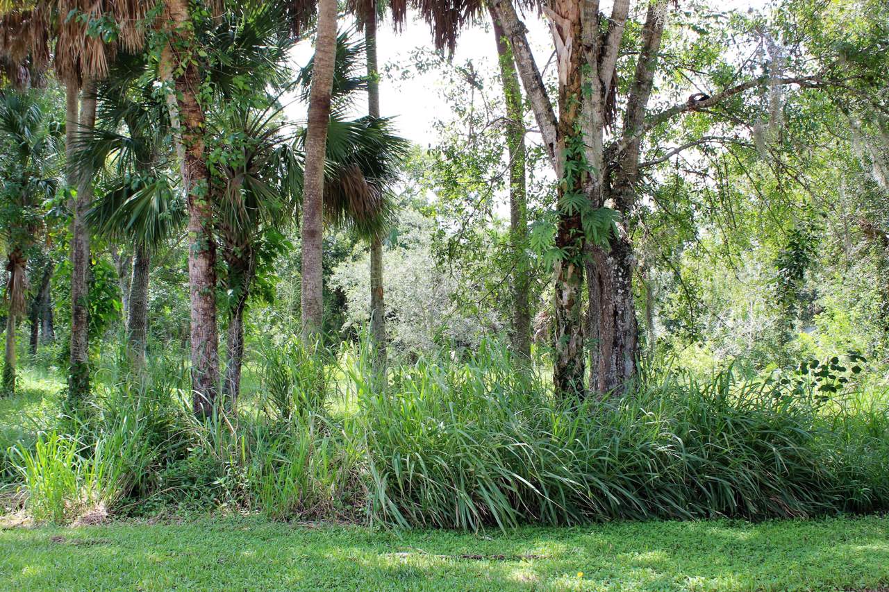 0 Wilderness Drive - Photo 1