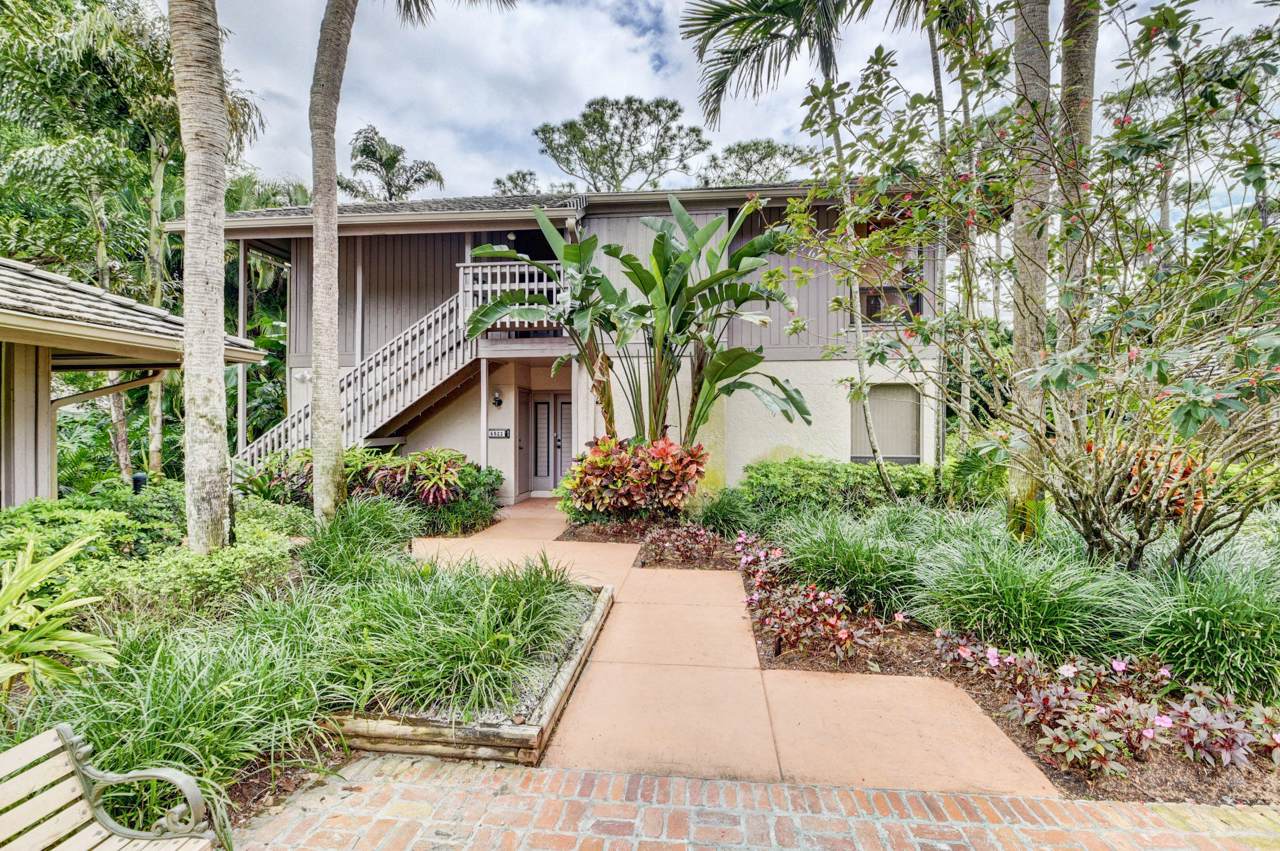 6925 Rain Forest Drive - Photo 1