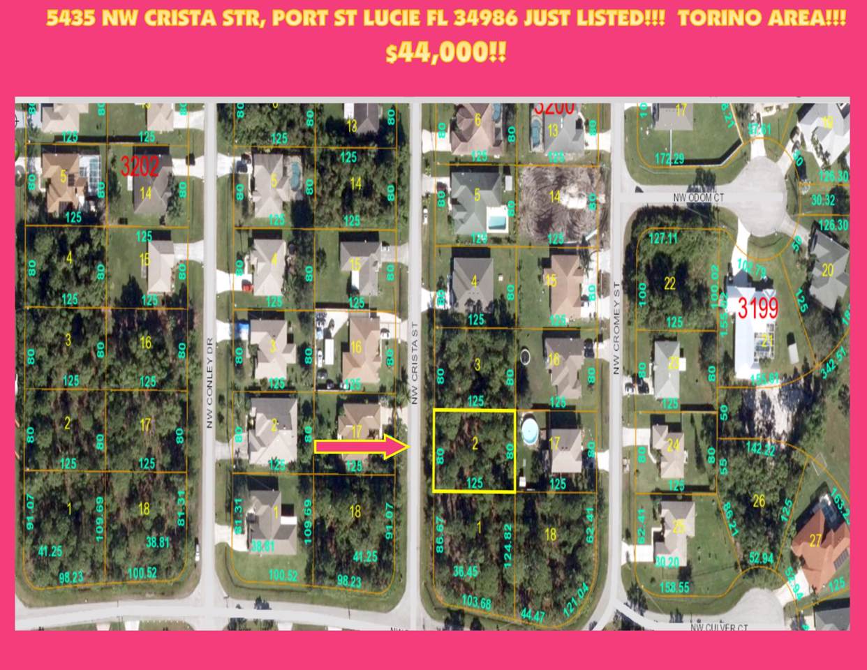 5435 Crista Street - Photo 1