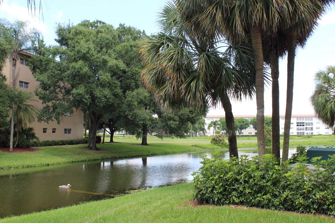 4302 Martinique Circle - Photo 1