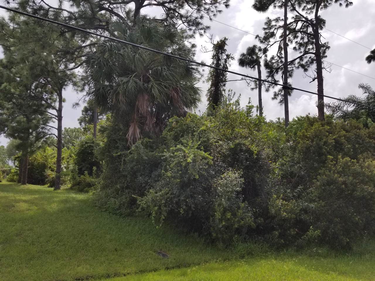 2242 Grand Drive - Photo 1