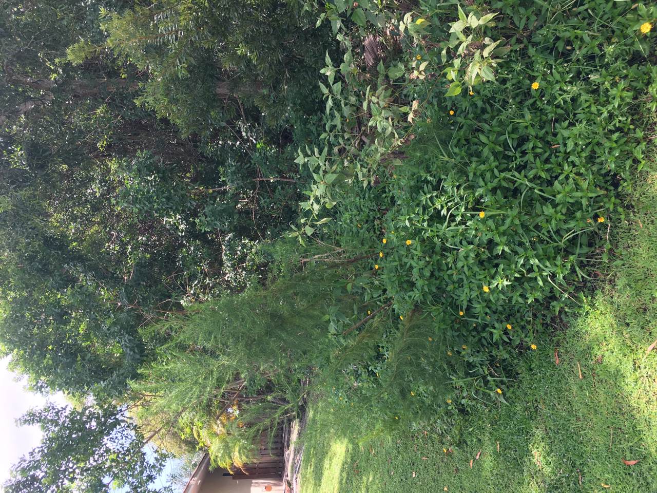 616 Dean Terrace - Photo 1