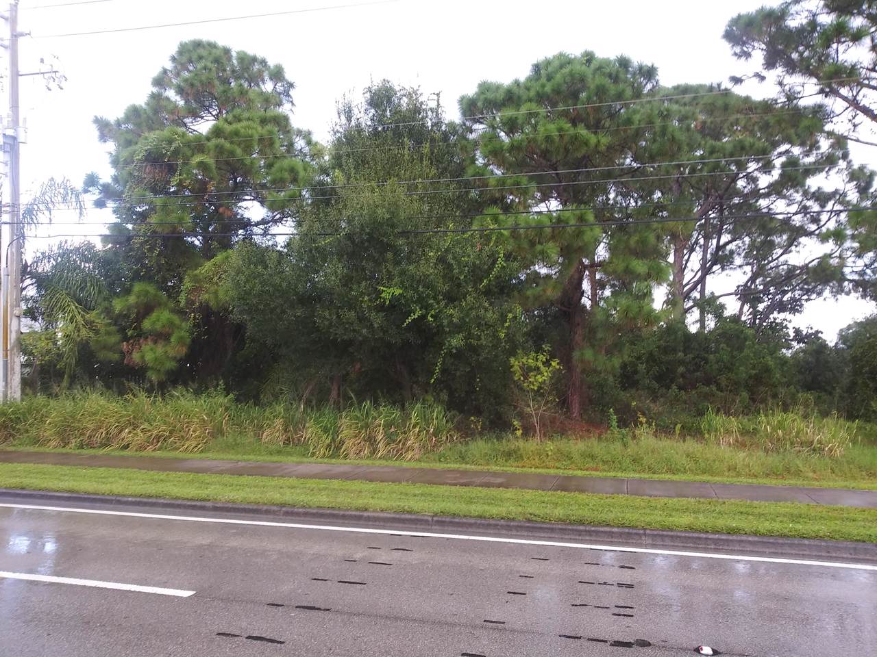 341 Prima Vista Boulevard - Photo 1