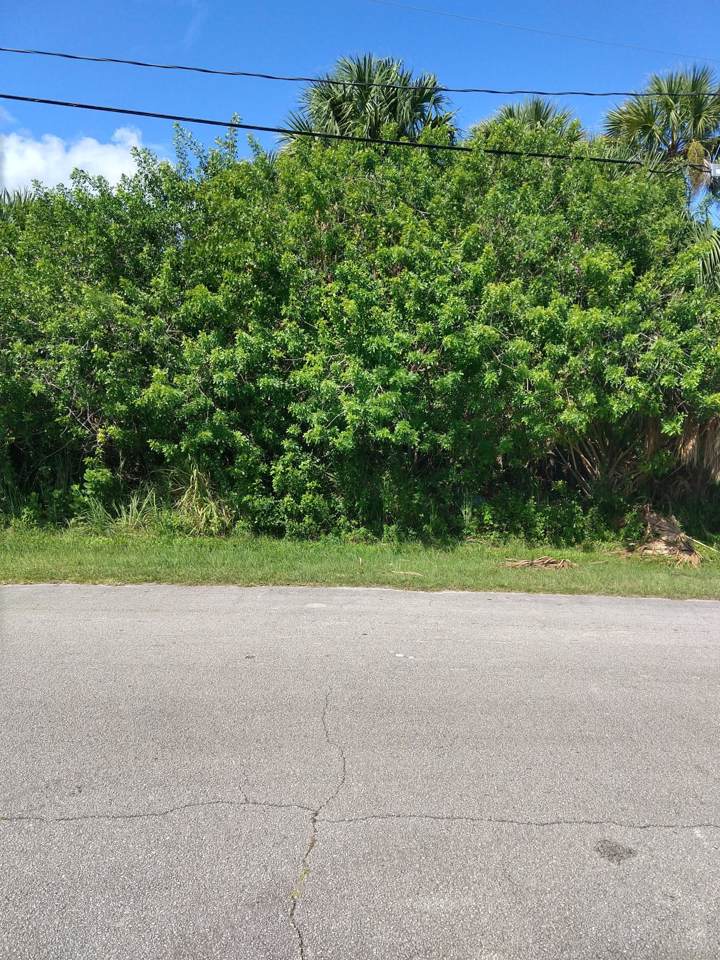 2276 Lucaya Street - Photo 1