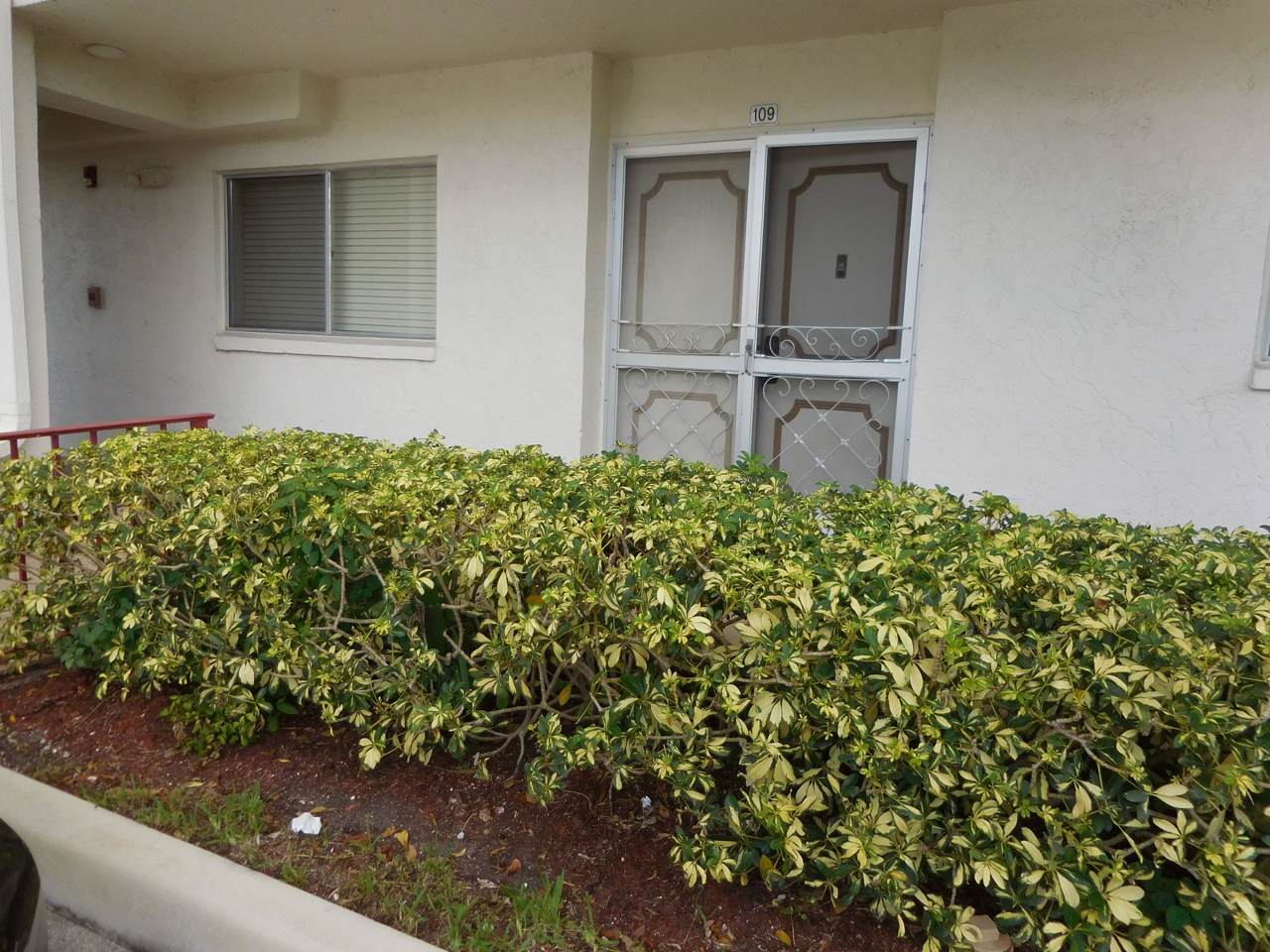 3326 Arcara Way - Photo 1