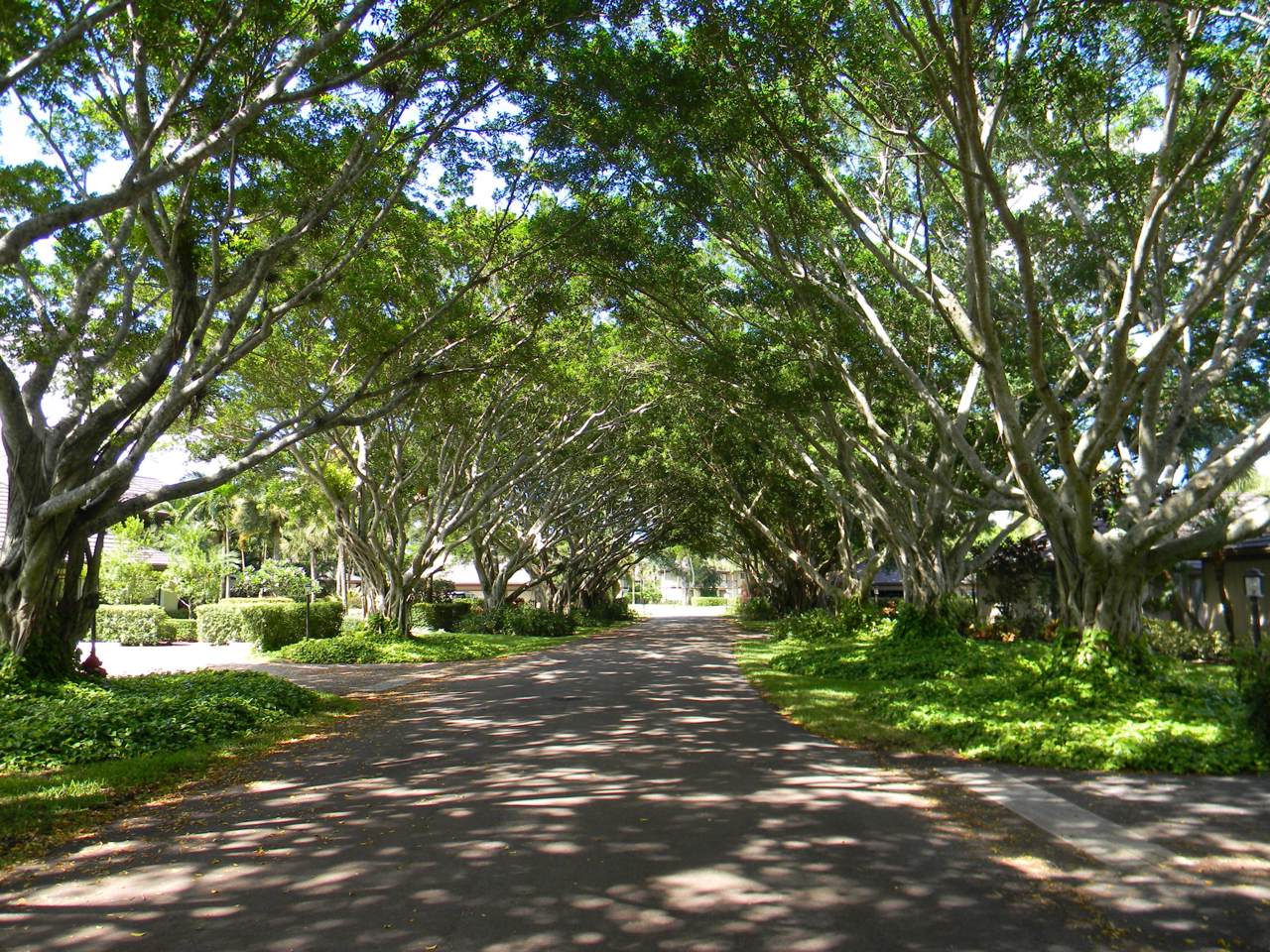 2835 Polo Island Drive - Photo 1