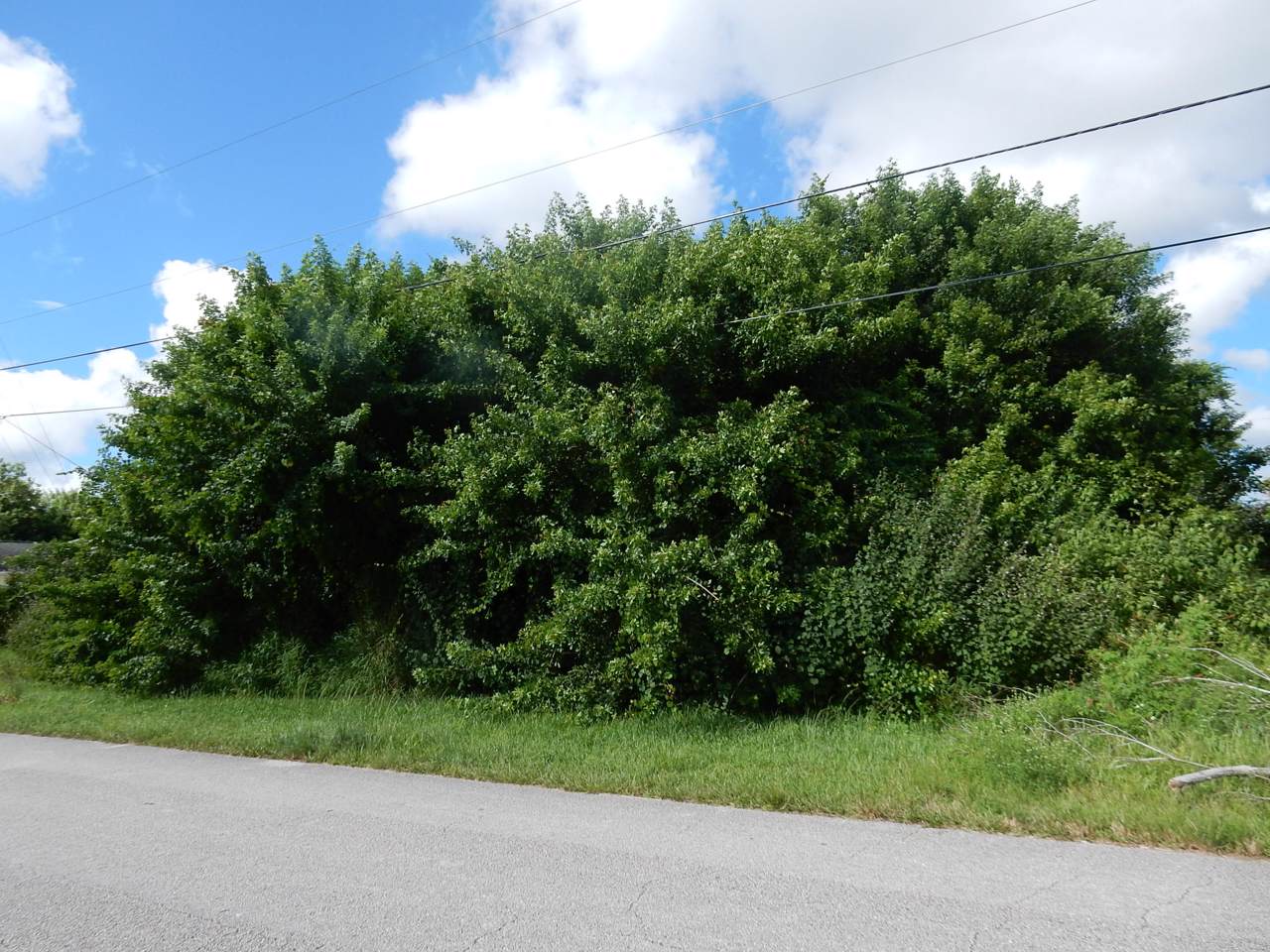 179 Gettysburg Drive - Photo 1