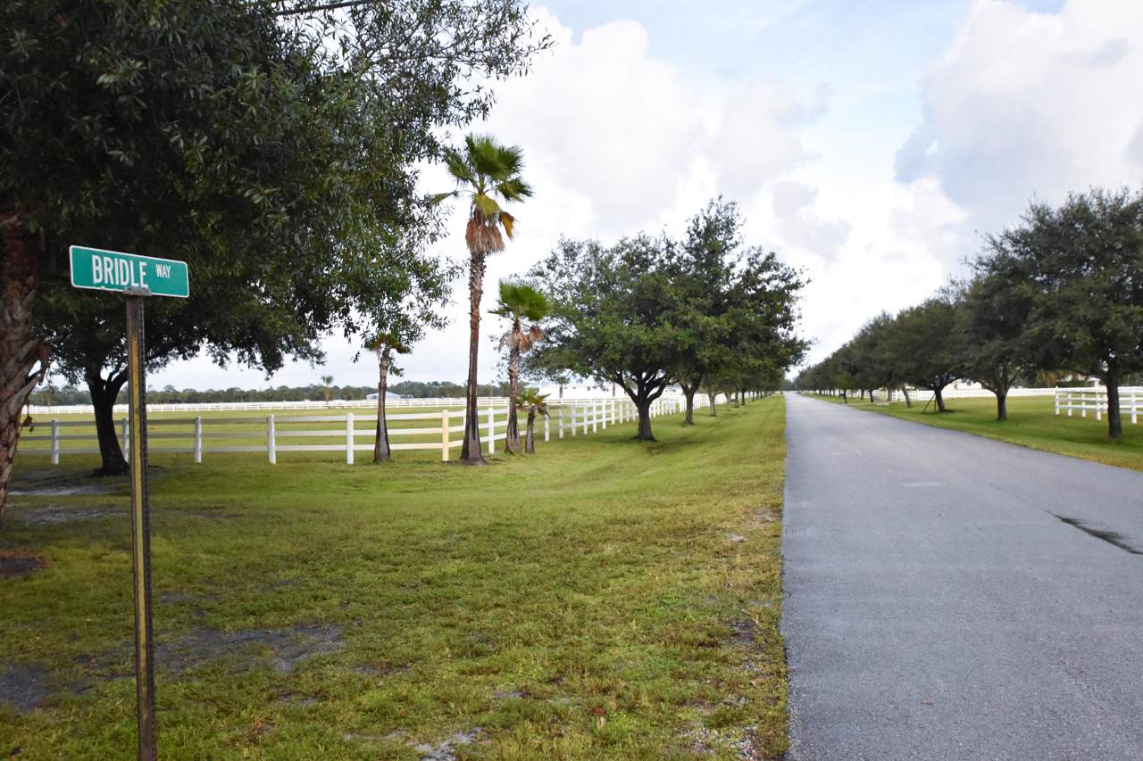 17702 Bridle Way - Photo 1