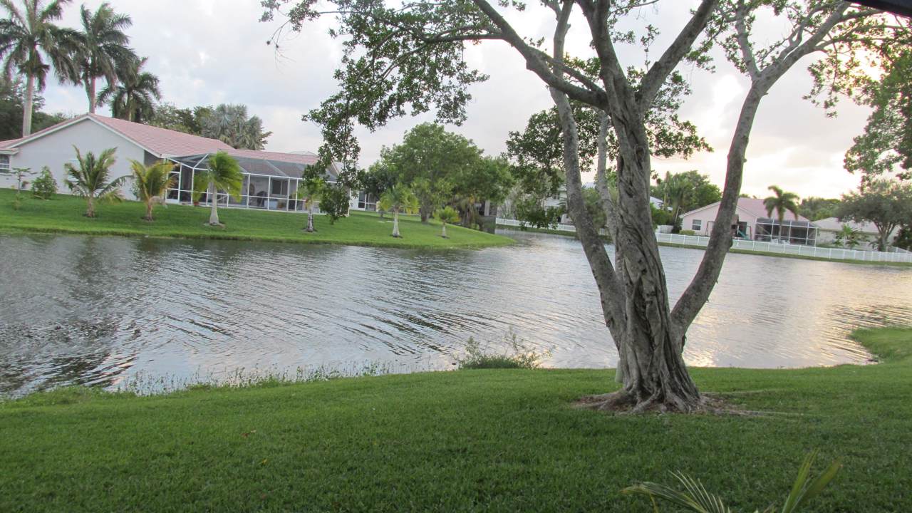 9468 Palm Circle - Photo 1
