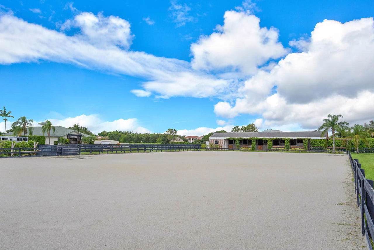 2121 Gray Mare Way - Photo 1