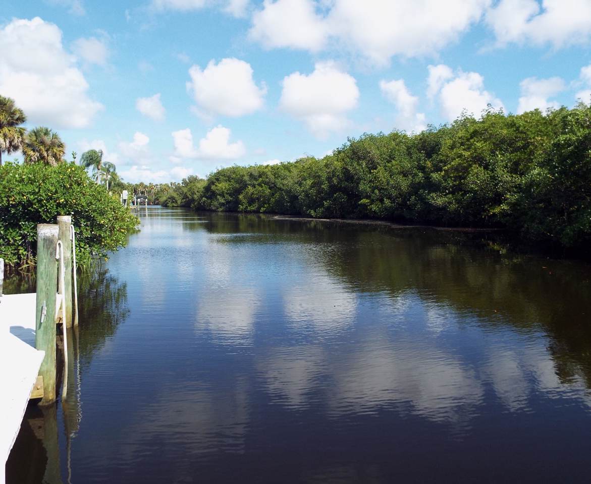 1315 Coral Reef Street - Photo 1