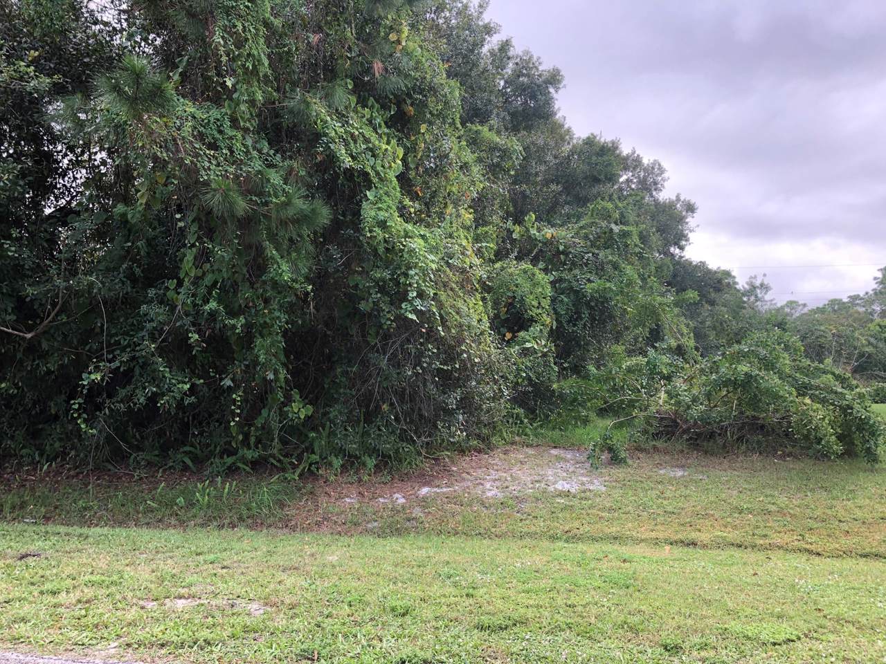 7807 James Road - Photo 1
