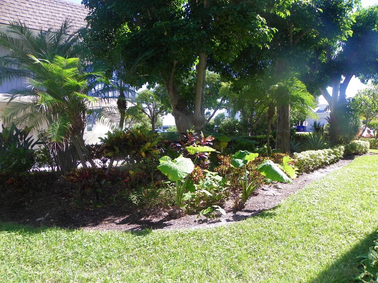 755 Saturn Street - Photo 1