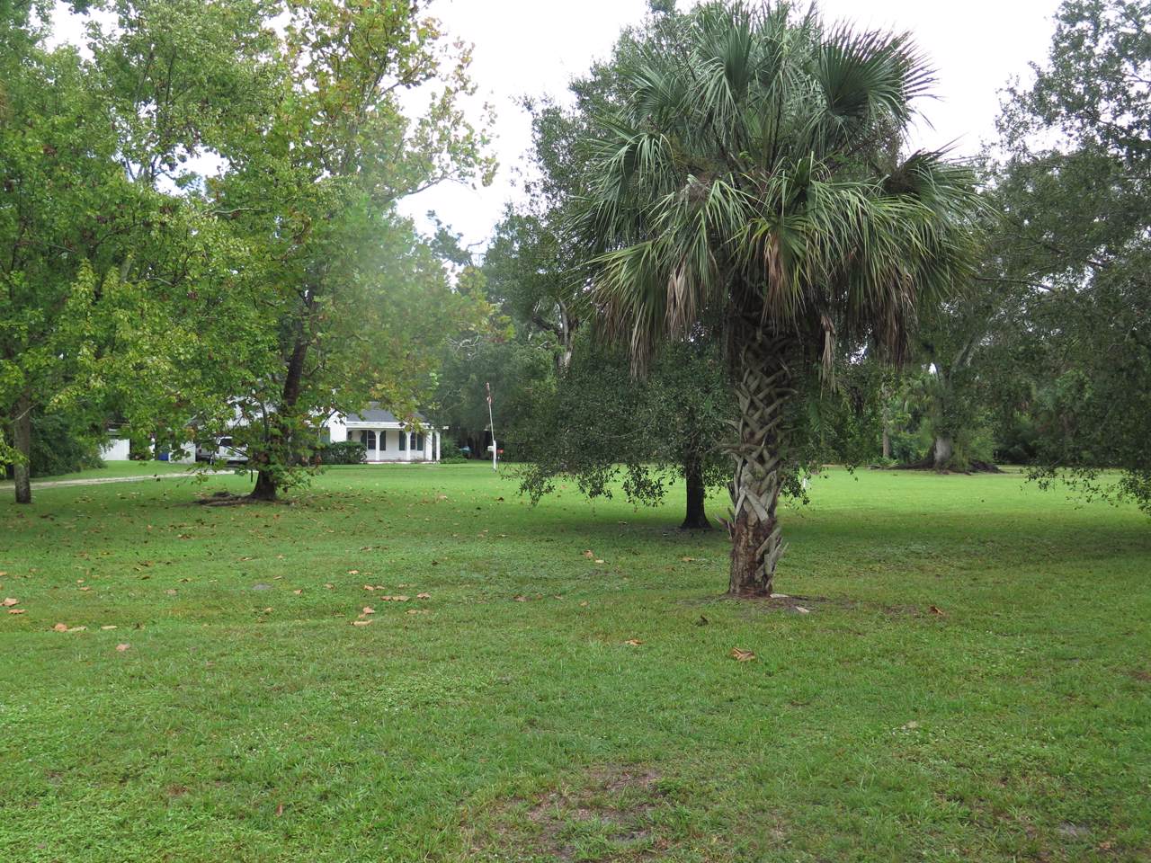 5240 20th Street - Photo 1