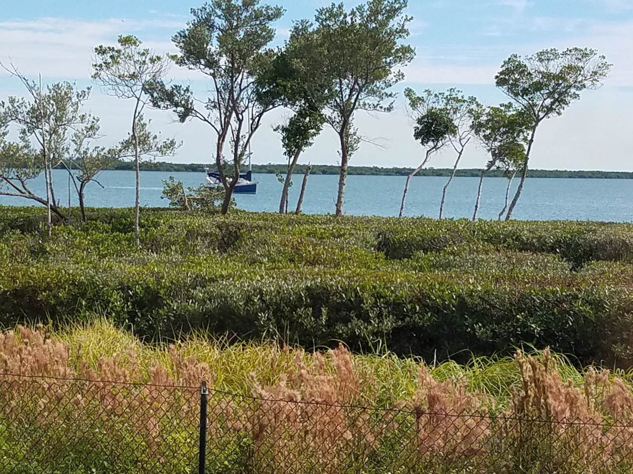 24 Harbour Isle Drive - Photo 1