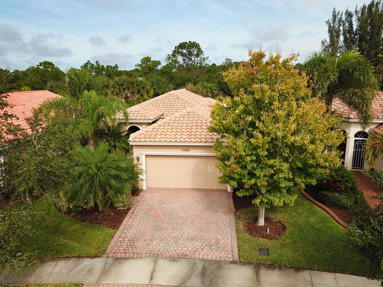 11268 Birch Tree Circle - Photo 1