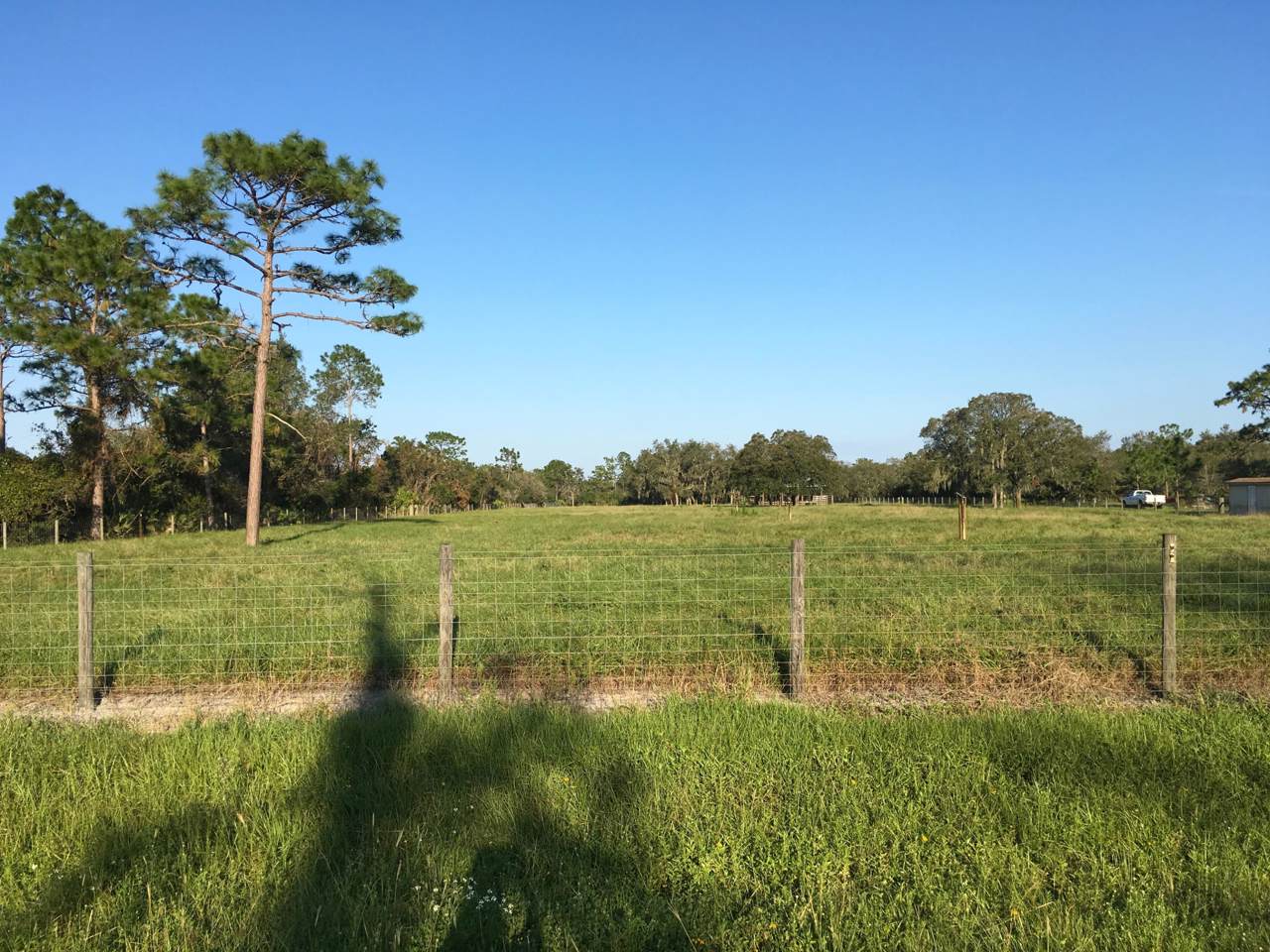 2765 Absher Road - Photo 1