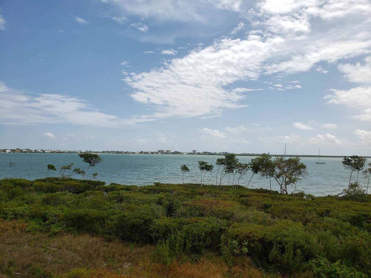 22 Harbour Isle Drive - Photo 1