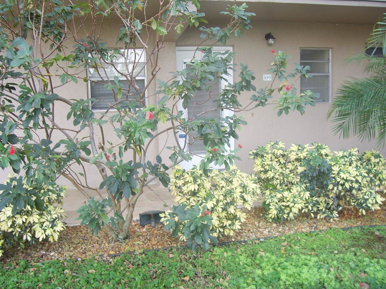 2300 1st Lane - Photo 1