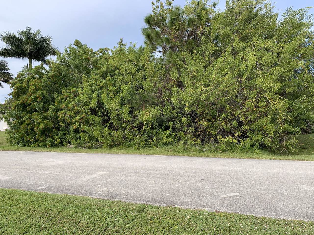 5774 Eskimo Circle - Photo 1