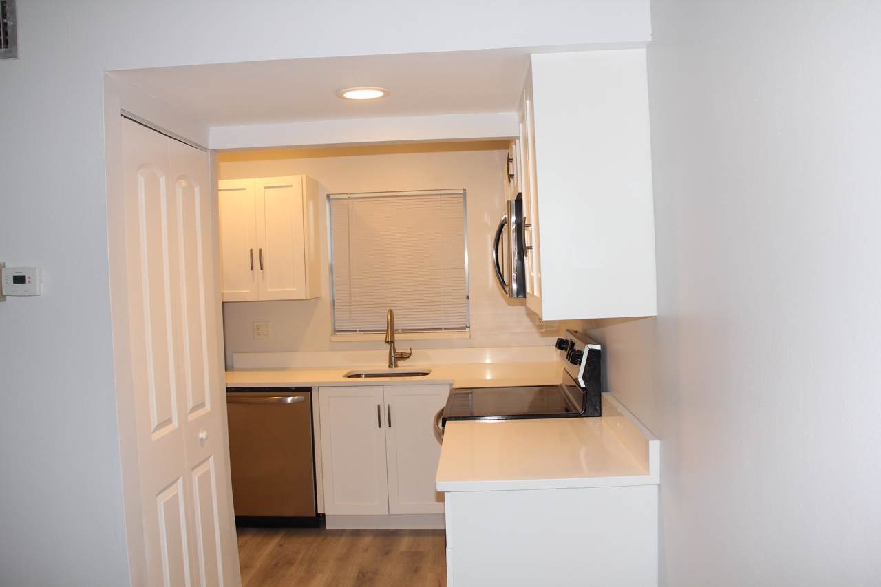 230 Lake Frances Drive - Photo 1
