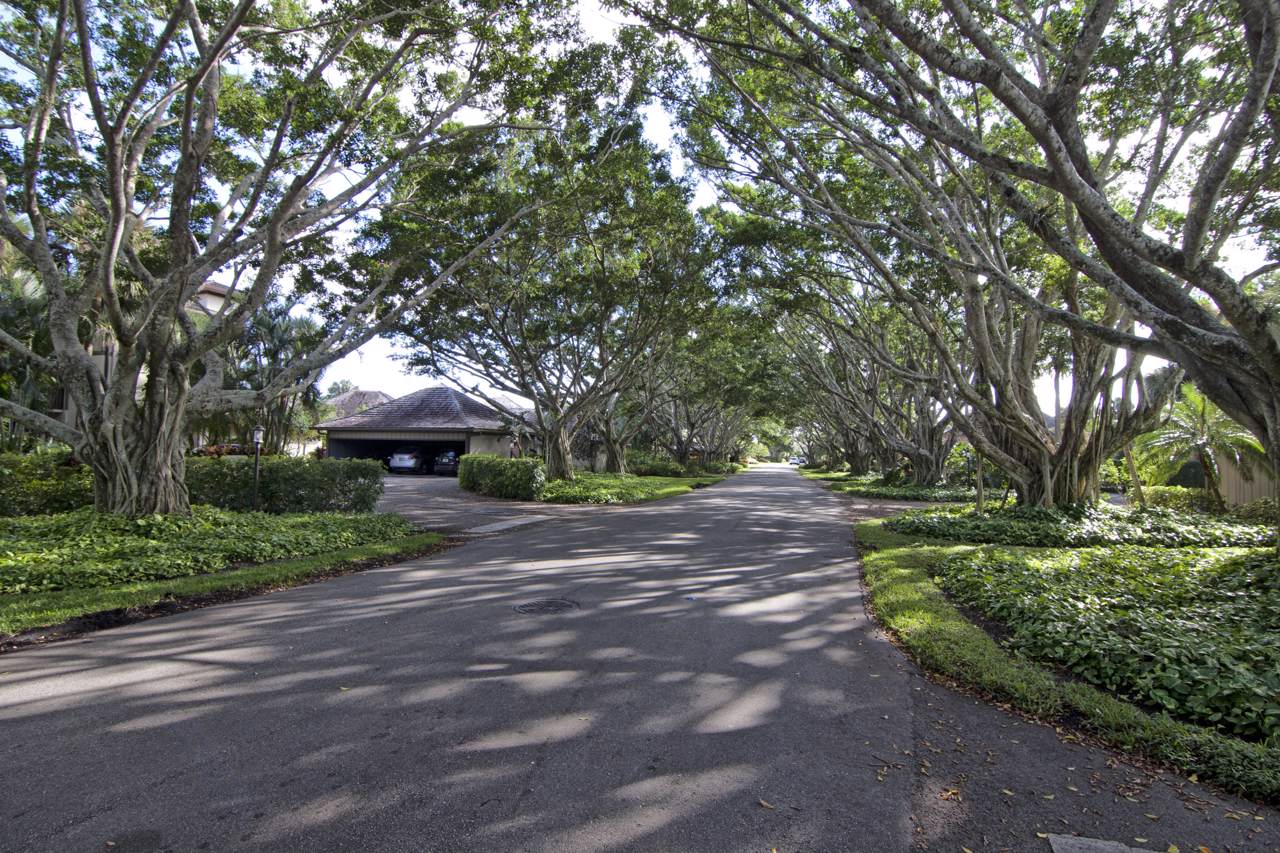 2735 Polo Island Drive - Photo 1