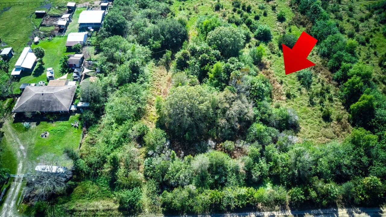 10210 Carlton Road - Photo 1