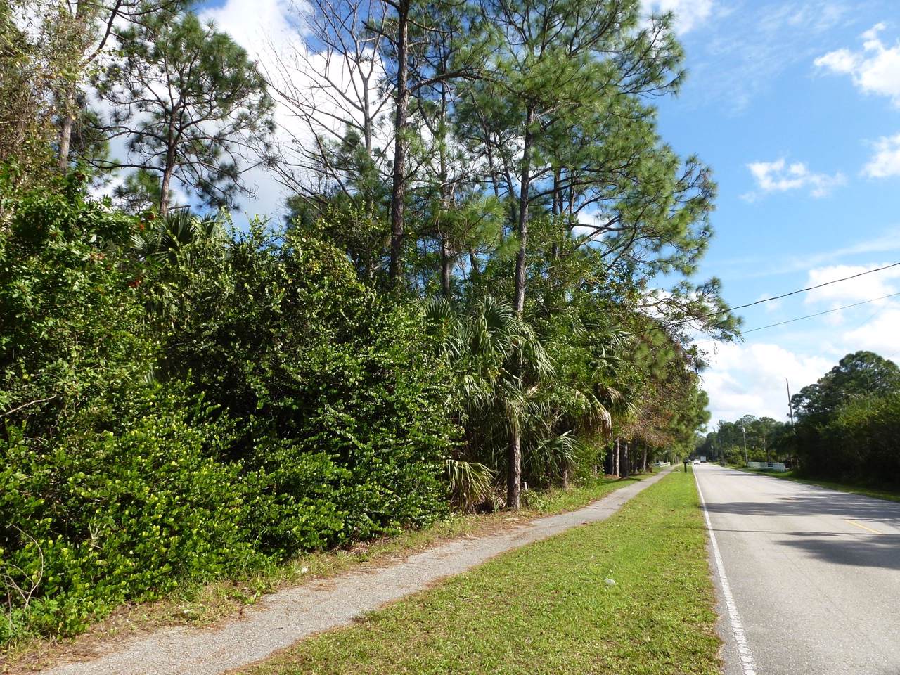 16119 Key Lime Boulevard - Photo 1 16119 Key Lime Boulevard - Photo 1