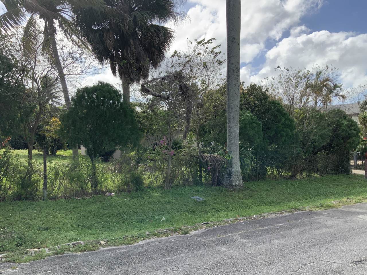 4662 Carver Street - Photo 1 4662 Carver Street - Photo 1
