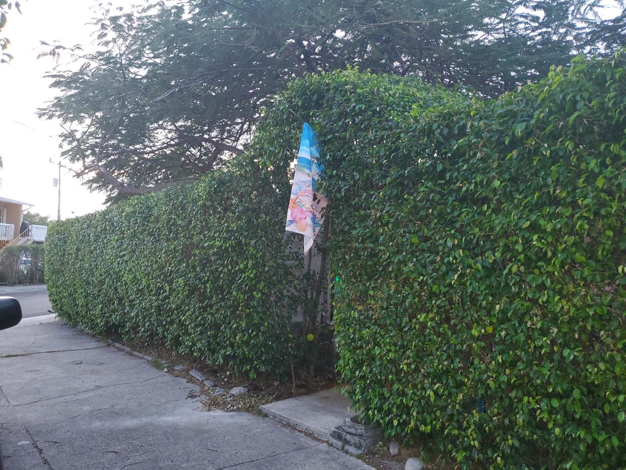 29 L Street - Photo 1