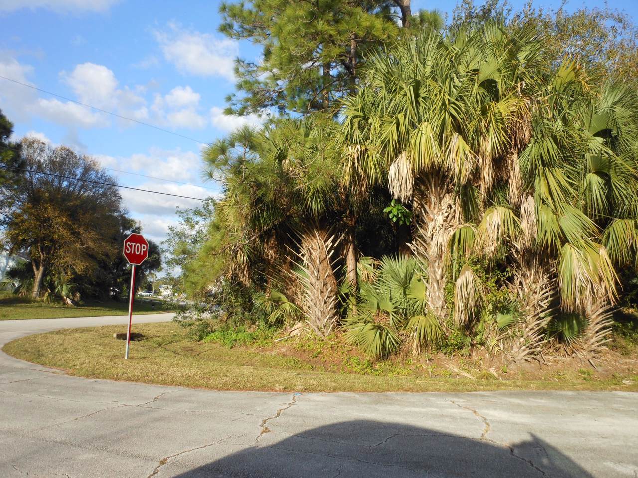 2465 Aberdeen Street - Photo 1