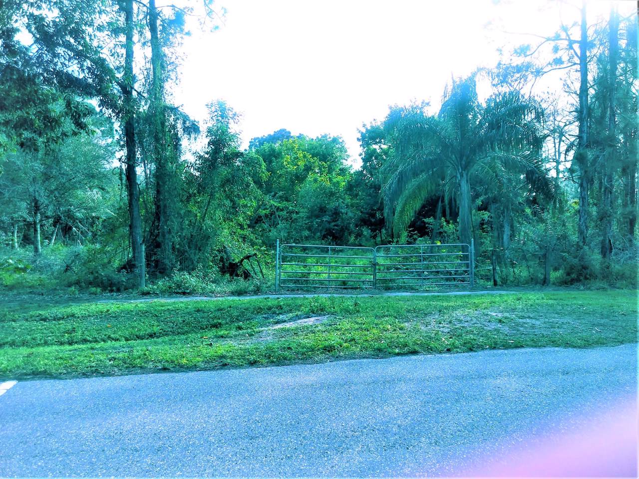 Xxxxx Prado Blvd - Photo 1