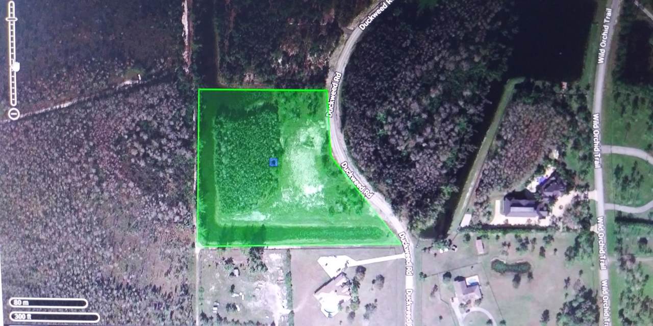 6801 Duckweed Road - Photo 1