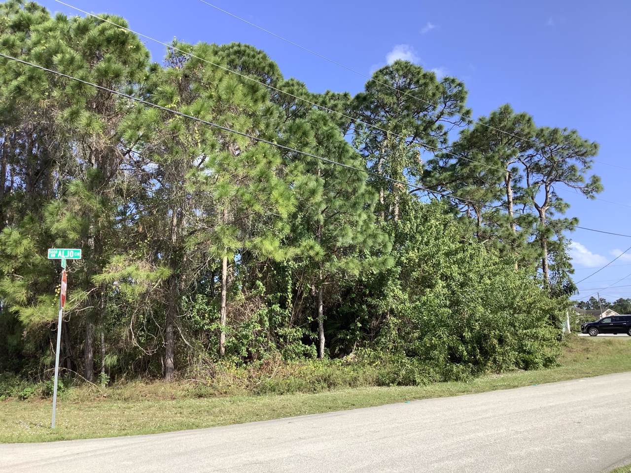 5085 Aljo Circle - Photo 1