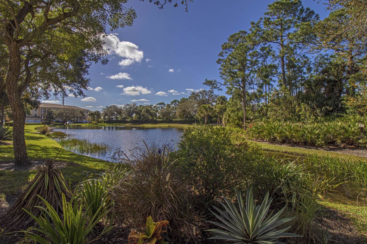12643 Old Cypress Drive - Photo 1