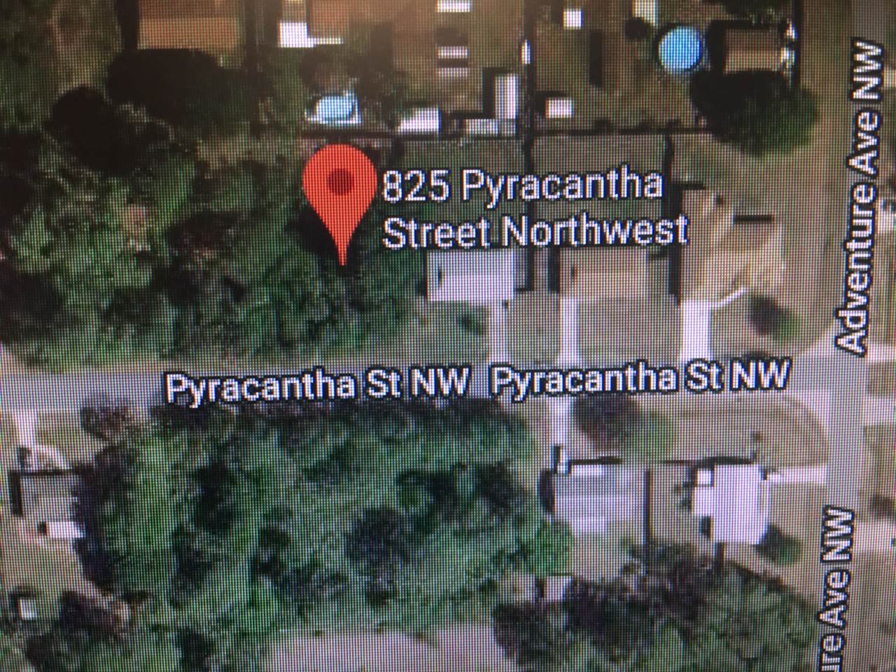 825 Pyracantha Street - Photo 1