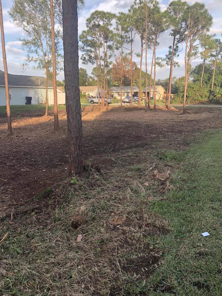 2466 Summit Street - Photo 1