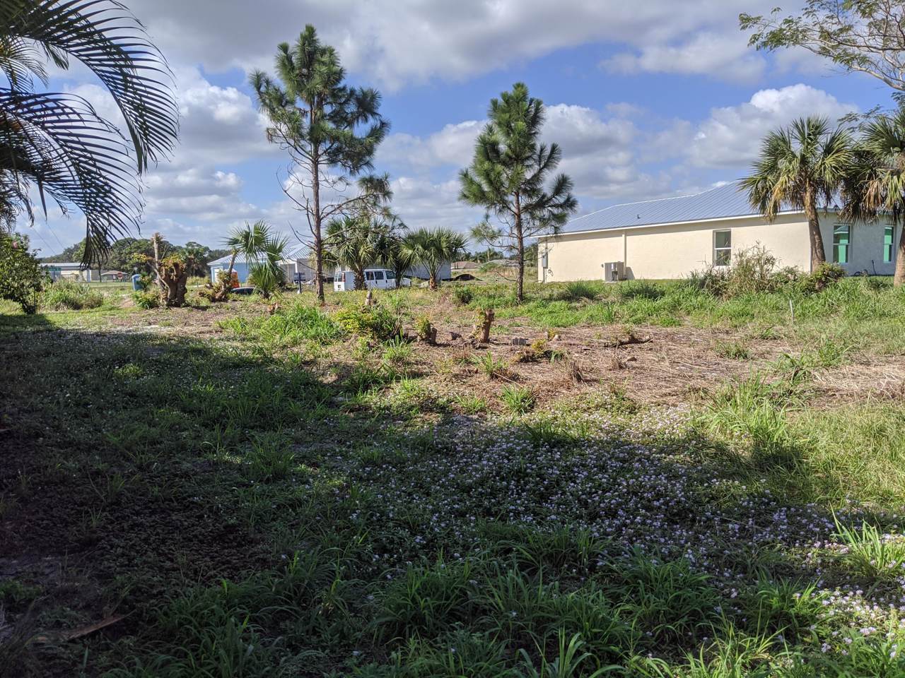 1850 Sunrise Drive - Photo 1