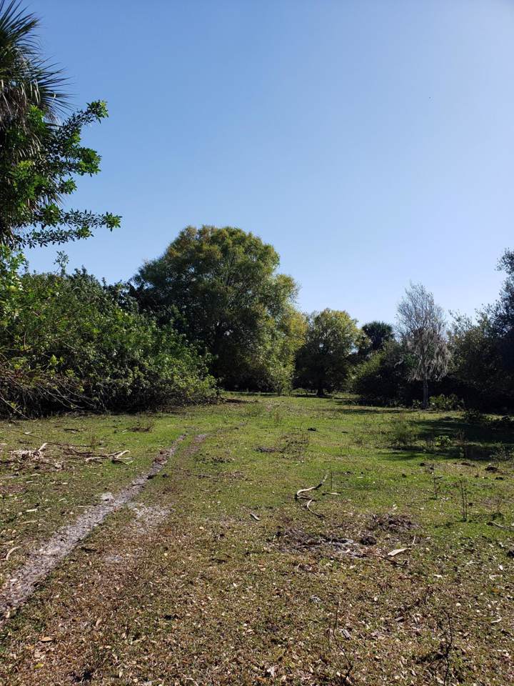 0 Sw Tommy Clements Ln Lane - Photo 1