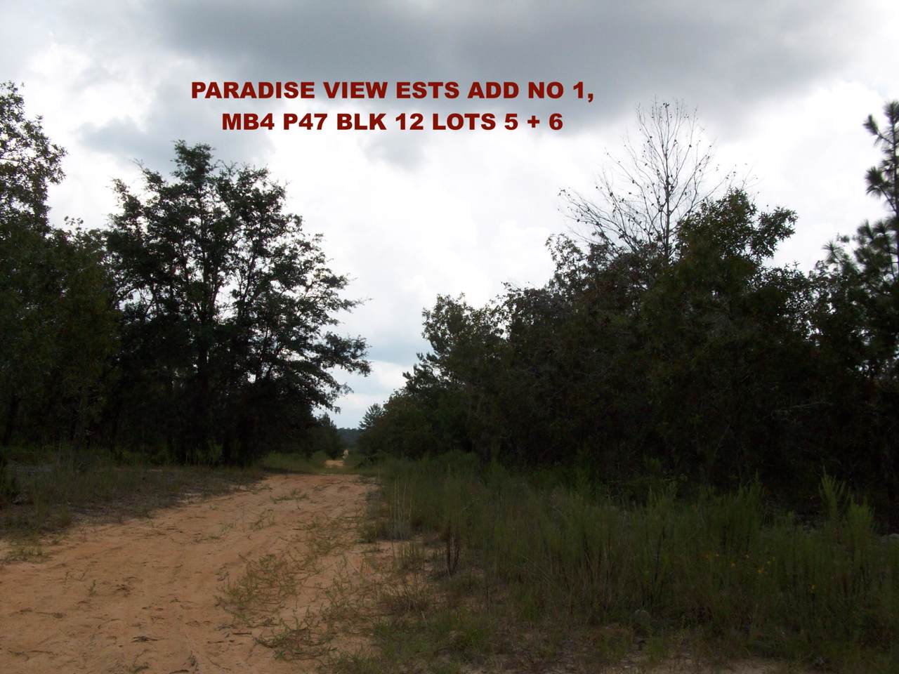 122 Chestnut Trail - Photo 1
