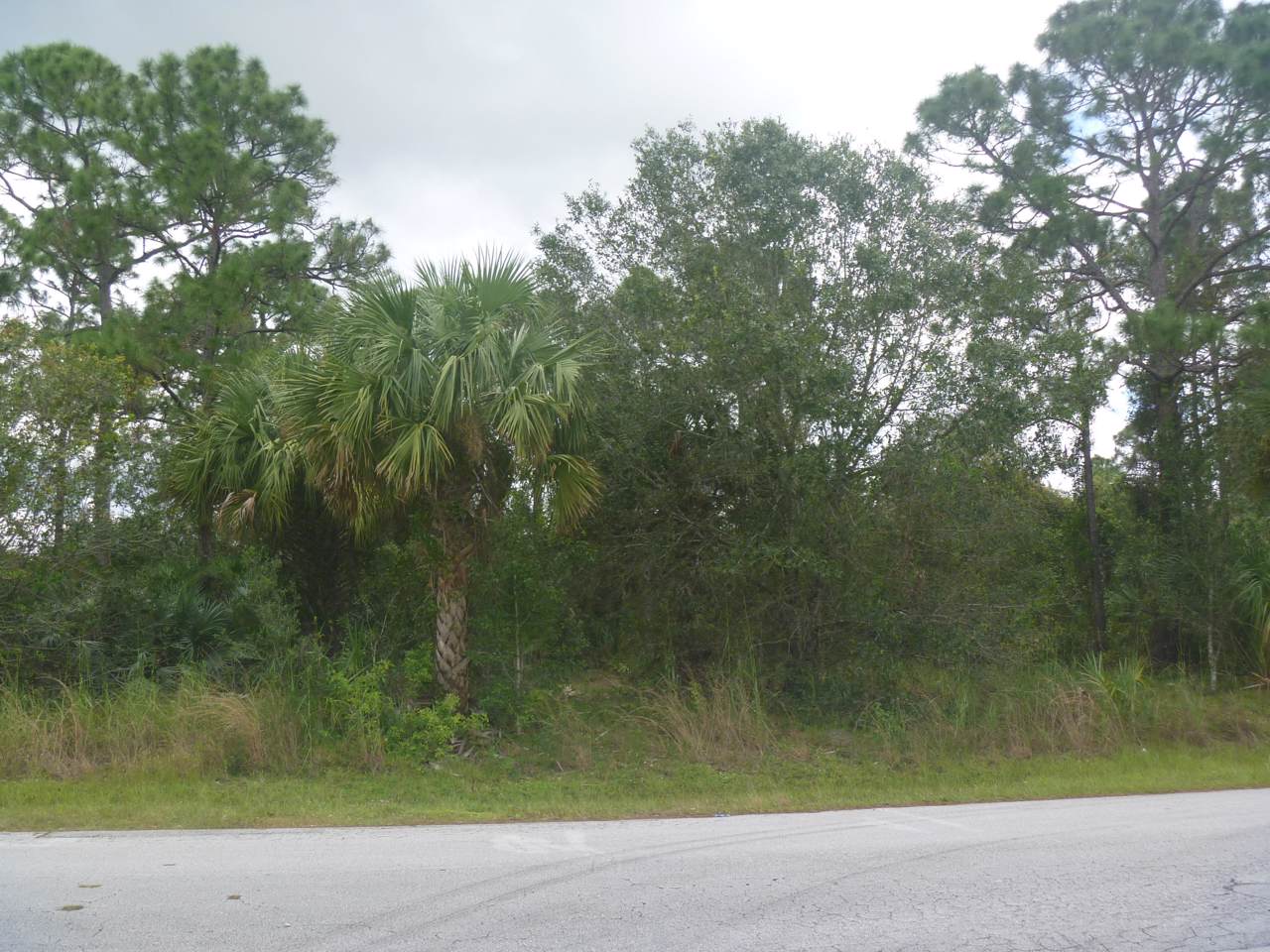1241 Alcantarra Boulevard - Photo 1