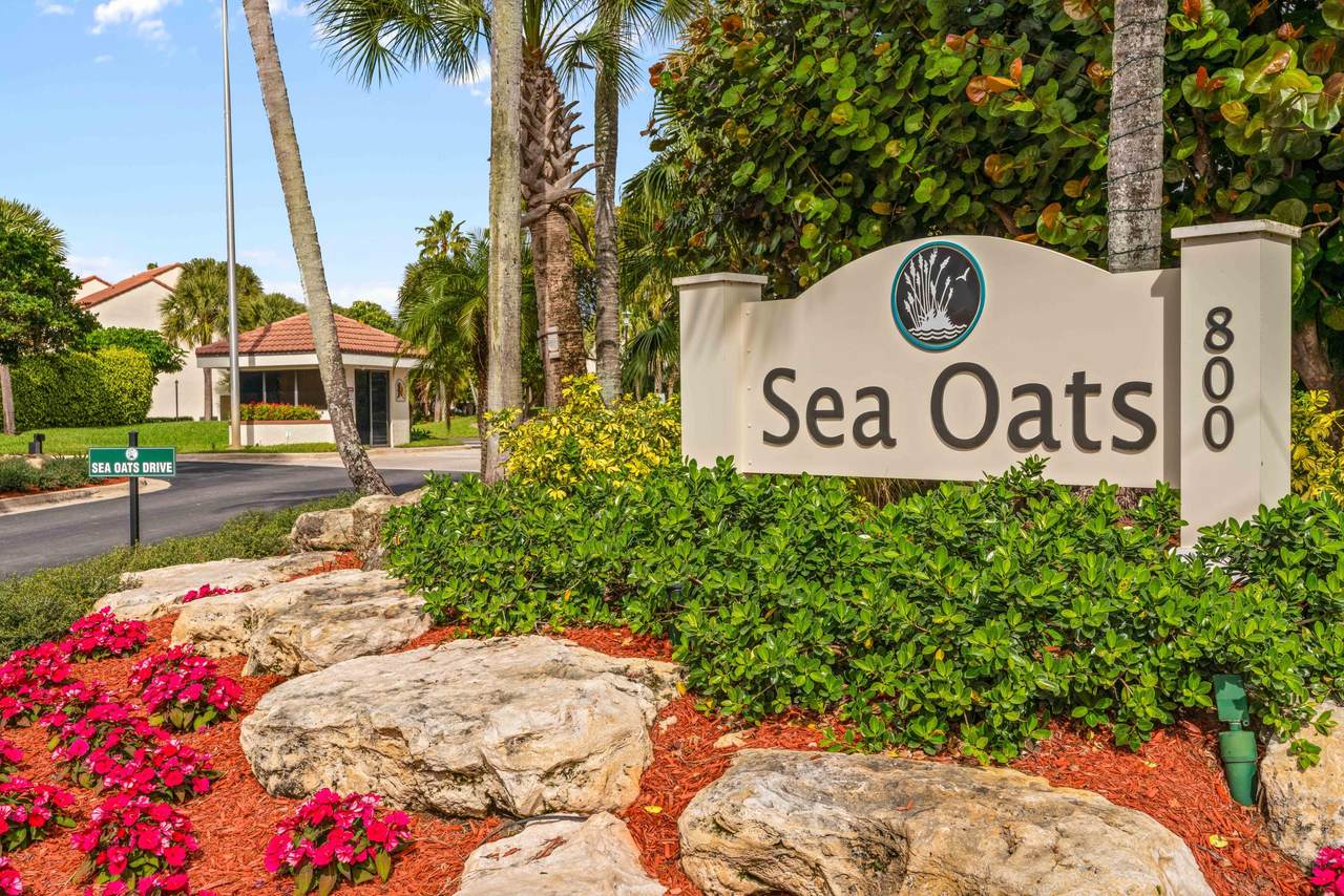 205 Sea Oats Drive - Photo 1