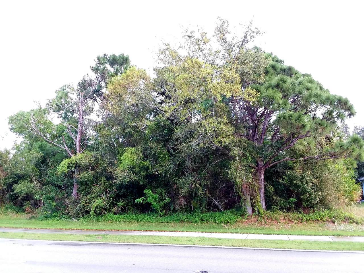 1841 Cameo Boulevard - Photo 1