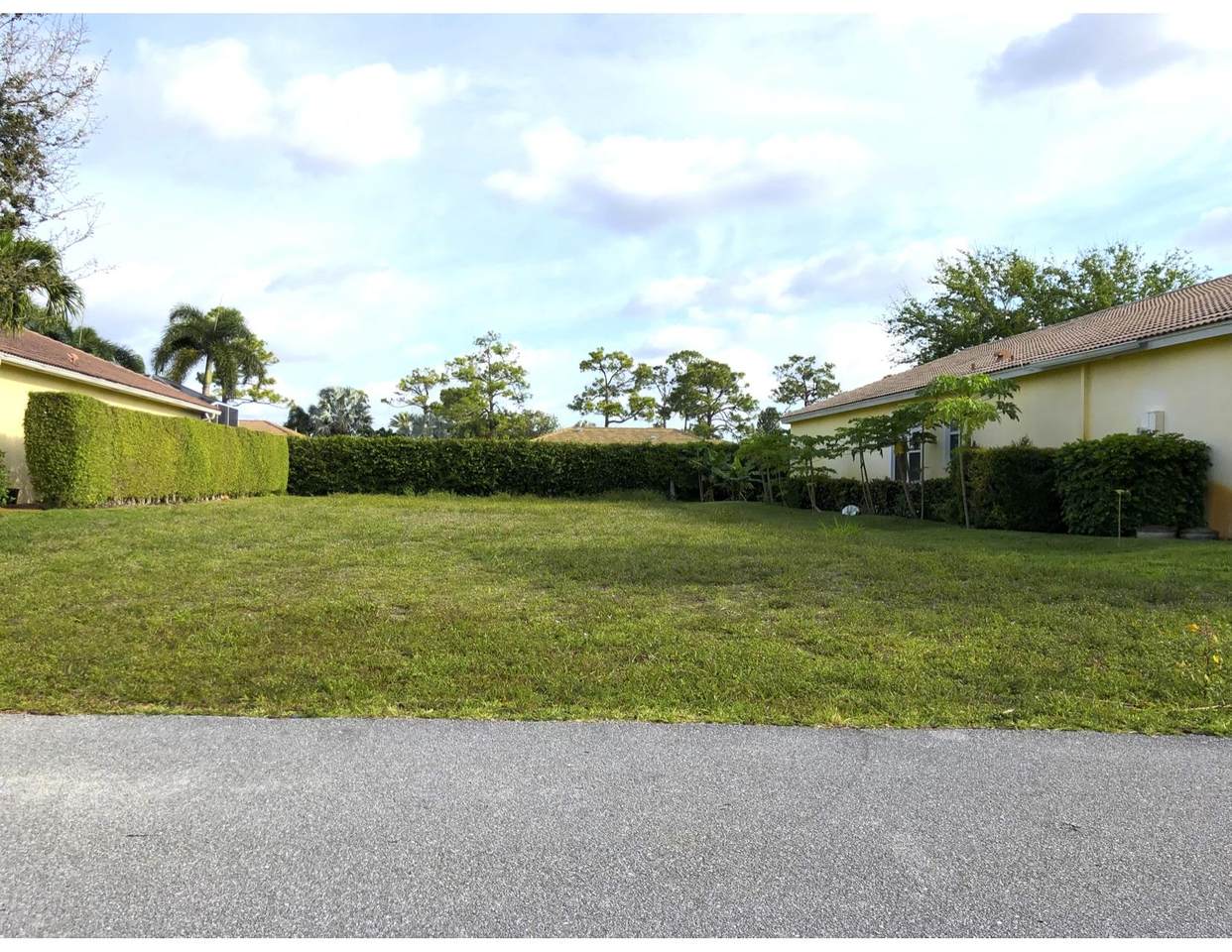 437 Pine Tree Court - Photo 1