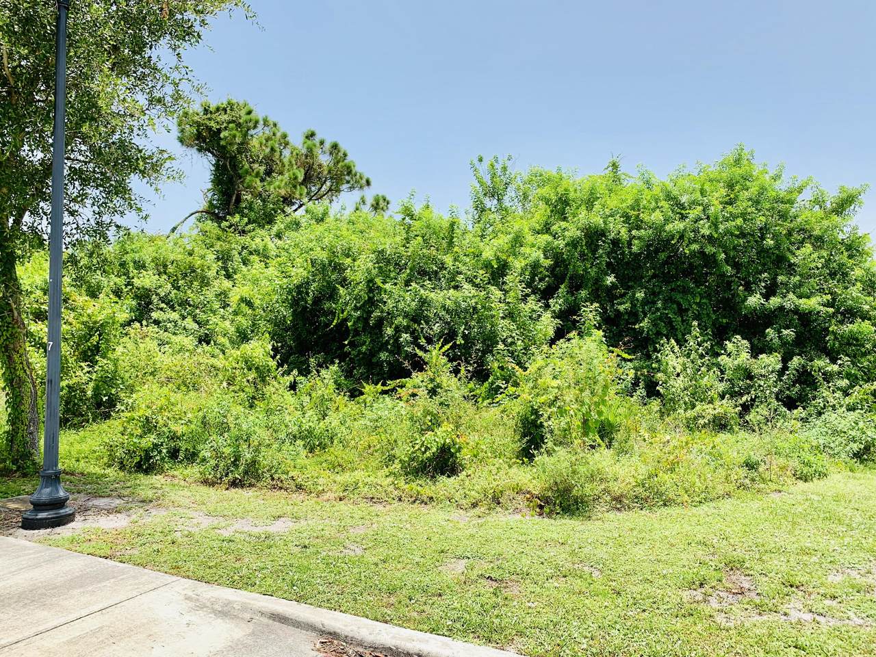 4603 Nackman Terrace - Photo 1