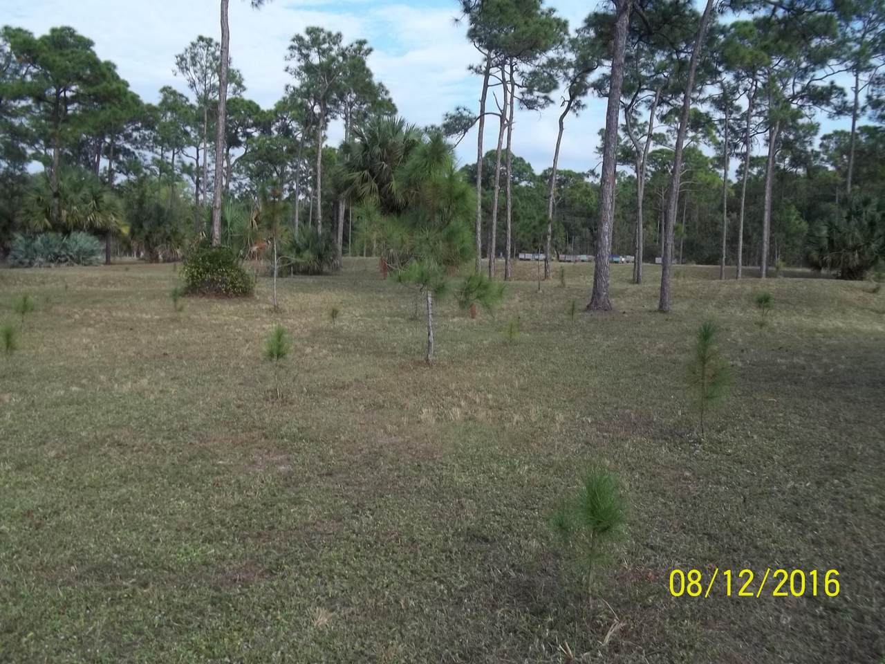 3798 Cabbage Palm Way - Photo 1