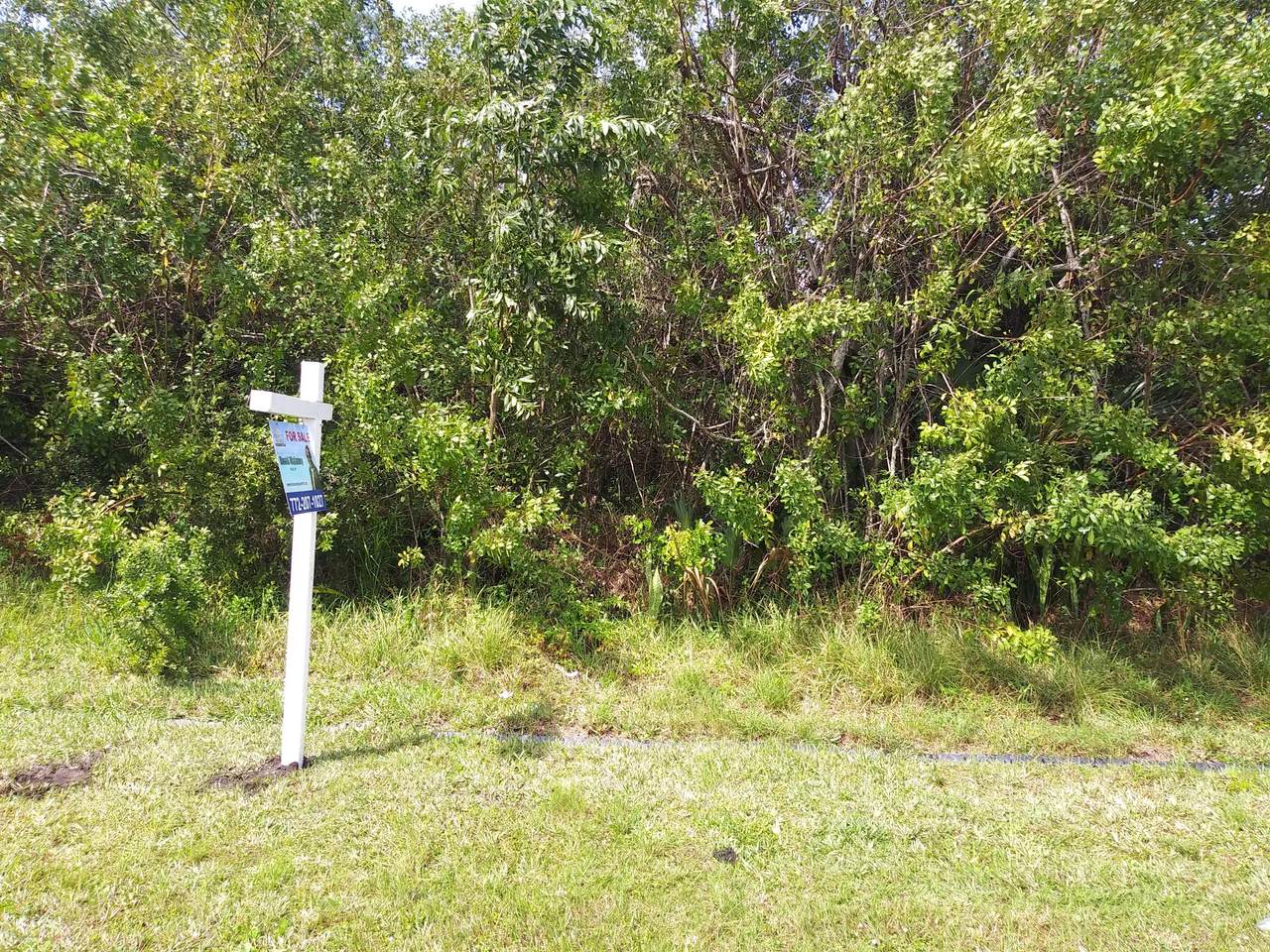 427 Copperfield Avenue - Photo 1