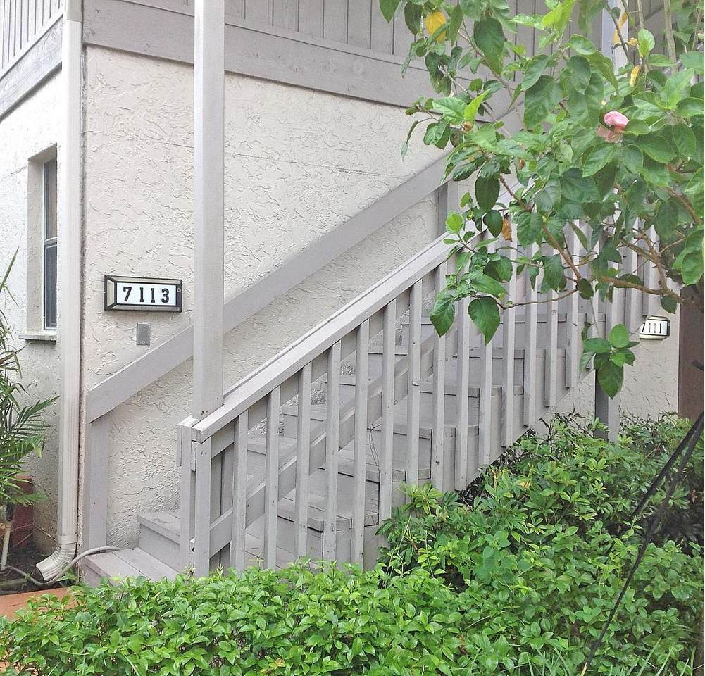 7113 Rain Forest Drive - Photo 1